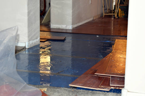Professional Water Damage Restoration technician working in Windom, TX
